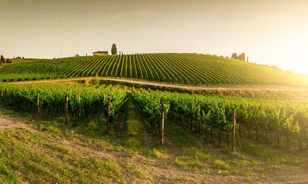 Andreucci Winery, Fredericksburg · Hwy 290