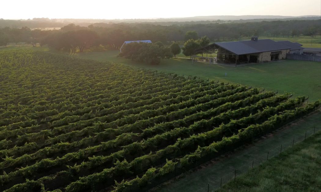 Featherstone Ranch Vineyards, Stonewall