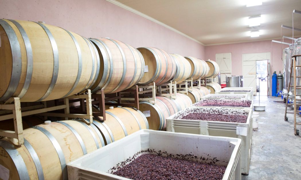 Pontotoc Vineyard Weingarten, Downtown Fredericksburg